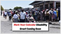 Attention Disability Grant Beneficiaries: R2,315 Payment Set for September 4, 2025 – Ensure Your Bank Details Are Up-to-Date!