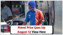 Brace for Impact: Province-Wise Petrol Price Surge Set for August 12