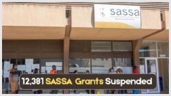 12,381 SASSA Grants Suspended Before August 10 – Your R2,350 Might Be at Risk Due to New Income Rule Changes!